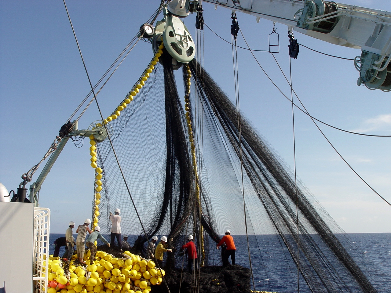 Purse Seine Net