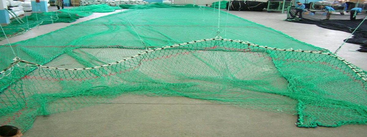 Dyneema Shrimp Trawl Net,China Dyneema Shrimp Trawl Net Manufacturers &  Suppliers 